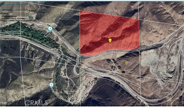 12571 Capra, Agua Dulce, CA 91390 - #1