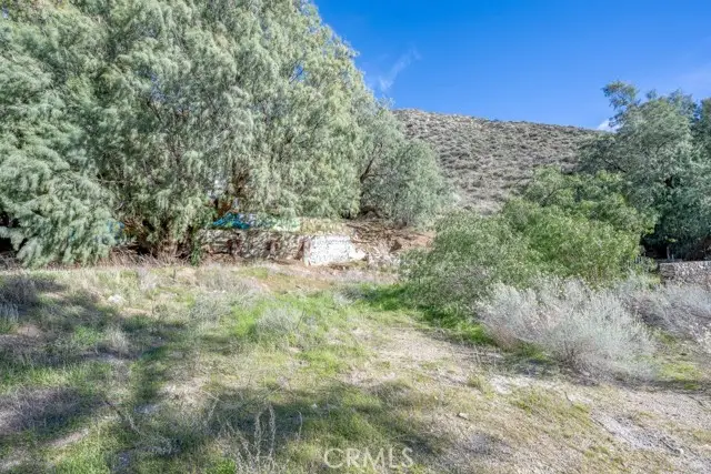 12571 Capra, Agua Dulce, CA 91390 - #2
