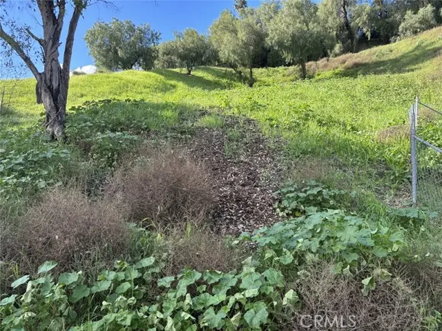 0 Apn: 5217017024, Los Angeles, CA 90032 - #2