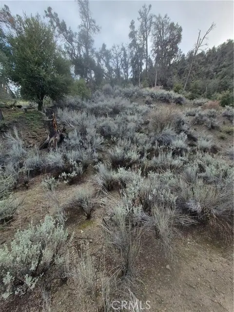 15532 San Moritz, Pine Mtn Club, CA 93222