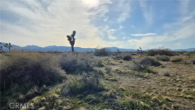 0 115th St East S/o Ave S, South Antelope Valley, CA 93543 - #2