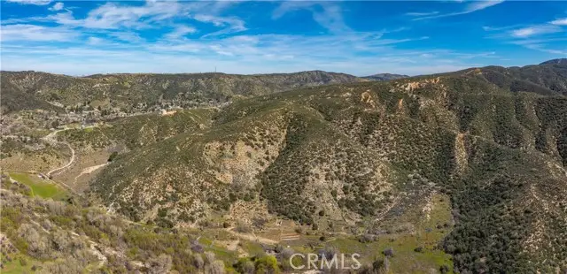 43460 Newview Drive, Lake Hughes, CA 93532 - #3