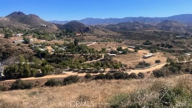 32600 Willow Lane, Agua Dulce, CA 91390 - #2