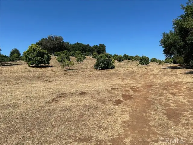 15 Camino Estribo, Temecula, CA 92590 - Image #2