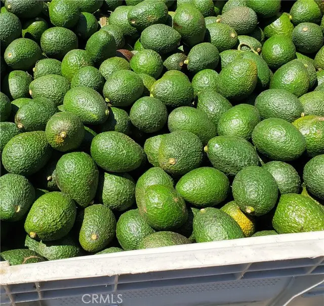 43520 Calle Colina, Temecula, CA 92590 - Image #1