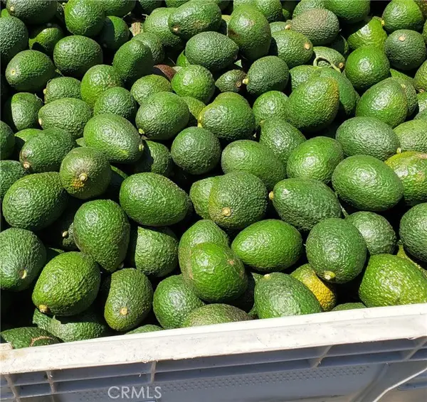 43520 Calle Colina, Temecula, CA 92590