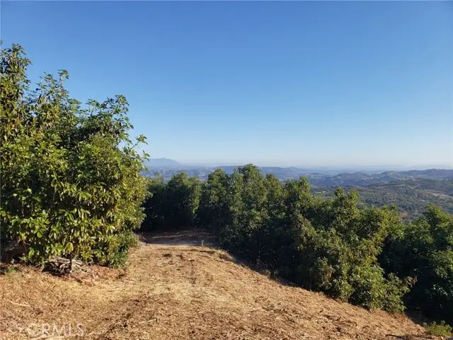 43520 Calle Colina, Temecula, CA 92590 - Image #3