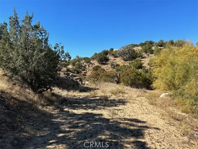 33 Broken Wheel, Anza, CA 92539 - Image #1