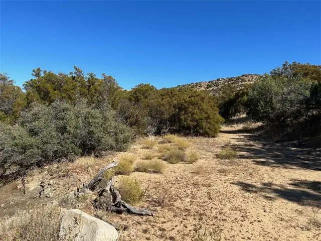 33 Broken Wheel, Anza, CA 92539 - Image #2