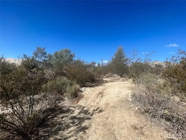 #3