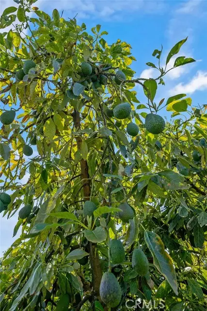 48825 Via Vaquero, Temecula, CA 92590 - Image #3