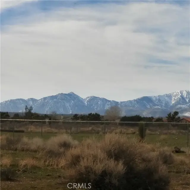 10611 Yucca Terrace Drive, Oak Hills, CA 92344 - Image #3