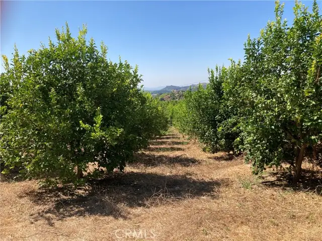 39 Carancho Road, Temecula, CA 92590 - Image #3