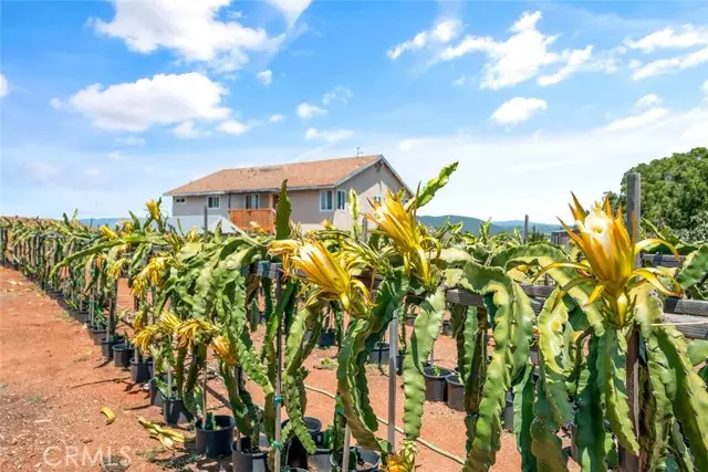 1996 Rainbow Glen Road, Fallbrook, CA 92028 - Image #3