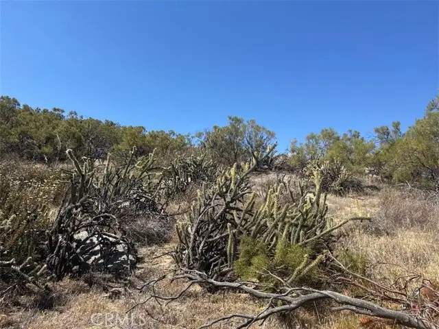 0 Shortcut Trail, Aguanga, CA 92536 - Image #2