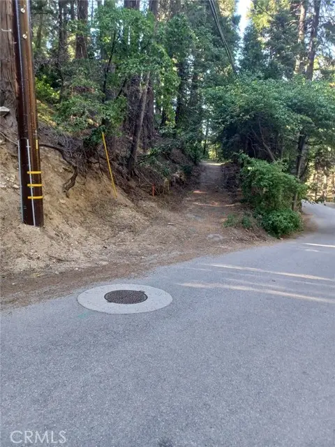 0 Community Drive, Lake Arrowhead, CA 92352 - Image #2