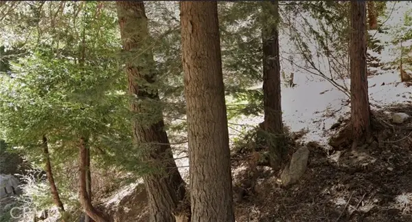 0 Wellsley, Lake Arrowhead, CA 92352