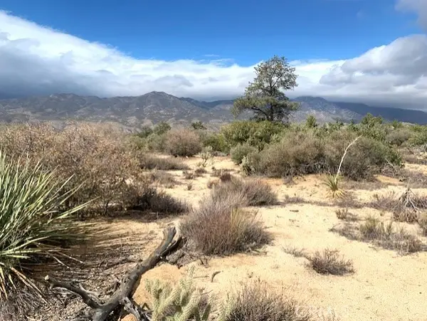 368 Palm Canyon Drive, Mountain Center, CA 92561