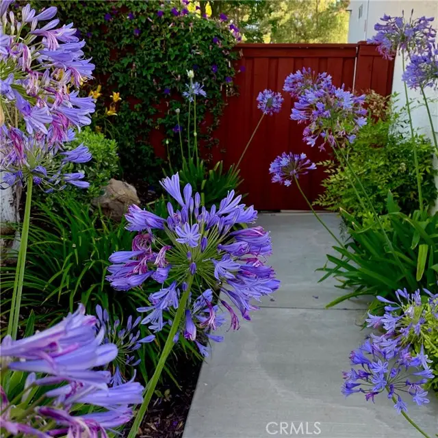 31710 Corte Esparza, Temecula, CA 92592 - Image #2