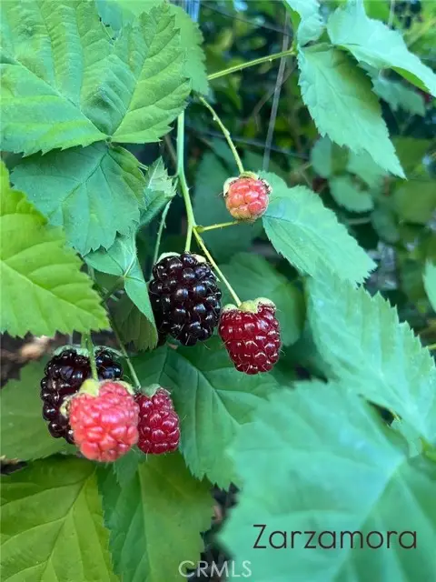 31710 Corte Esparza, Temecula, CA 92592 - Image #3