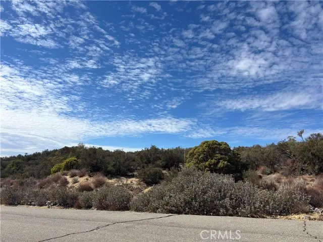 56857 Penny Lane Road, Anza, CA 92539 - #2