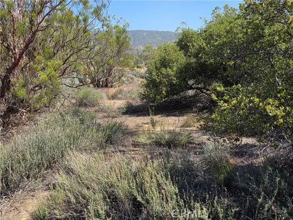 56941 Cain, Anza, CA 92539