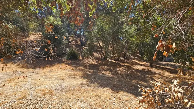 28 E Hillhaven Road, West Covina, CA 91791 - Image #3