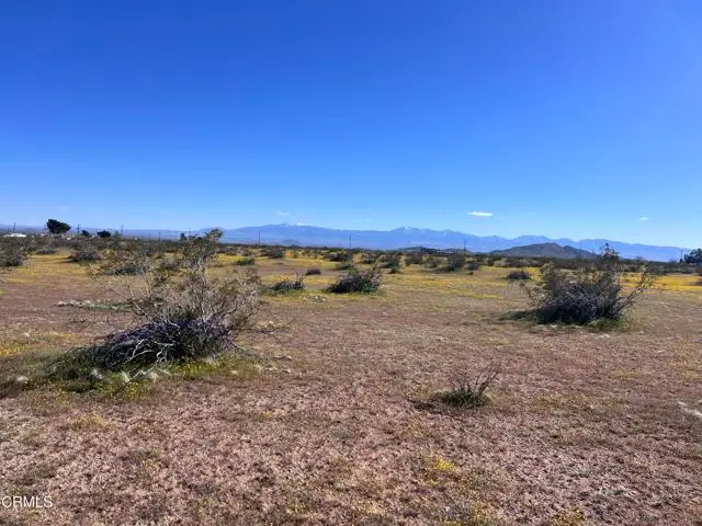 8 E 8, Hi Vista, CA 93535 - #3