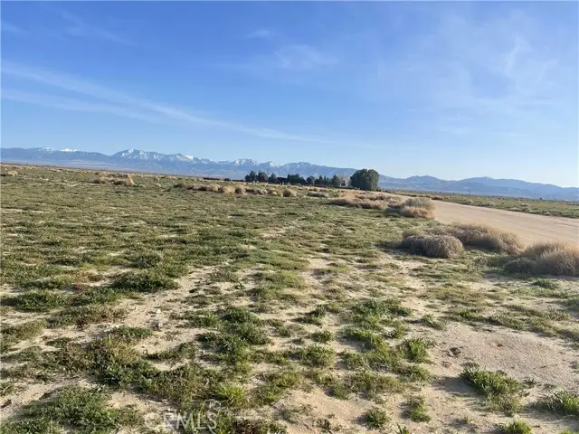 102 E Avenue M, Palmdale, CA 93591 - Image #1