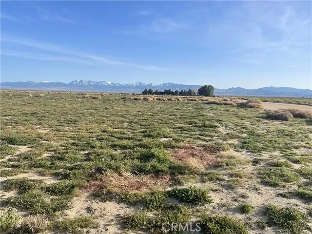 102 E Avenue M, Palmdale, CA 93591 - Image #3