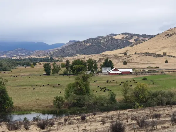 1224 Copco Road, Hornbrook, CA 96044