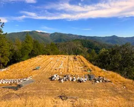 1900 Devils Gulch Road, Hayfork, CA 96041 - Image #3