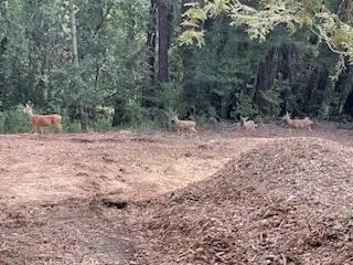 12 Montecito Road, Woodside, CA 94062 - Image #1