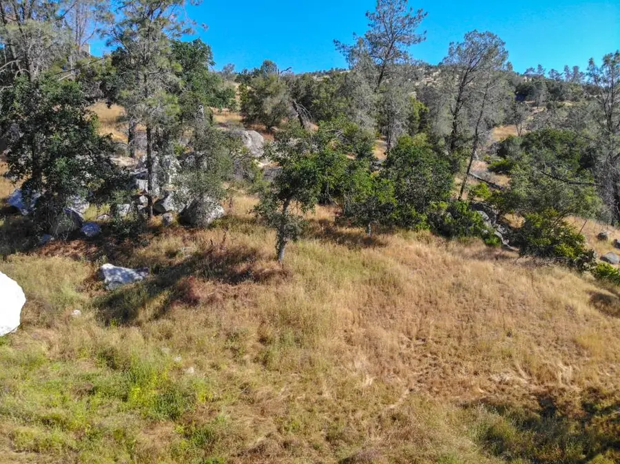 0 Long Hollow Drive, Coarsegold, CA 93614 - Image #3