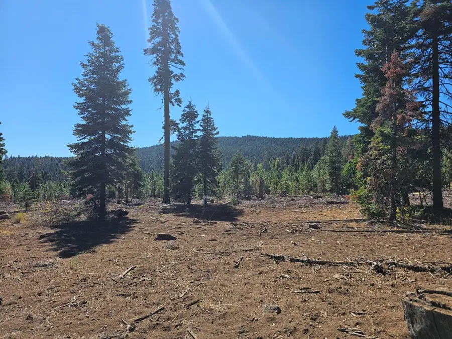 0 Prospect Road, Alturas, CA 96101 - Image #2