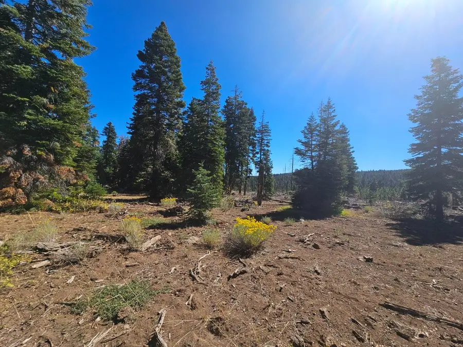 0 Prospect Road, Alturas, CA 96101 - Image #3