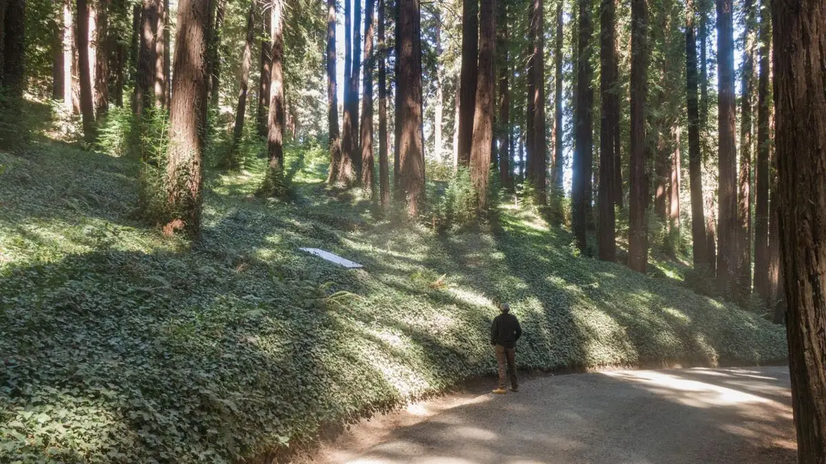 446 Old La Honda Road, Woodside, CA 94062 - Image #1