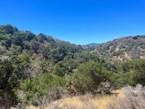 0000 Alhambra Drive, Belmont, CA 94002