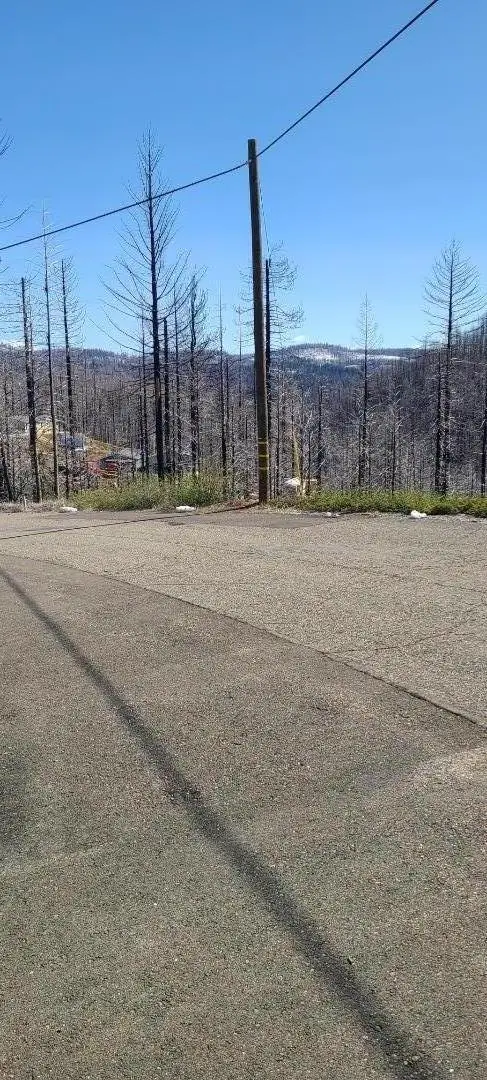 5406 Wooded Glen Drive, Grizzly Flats, CA 95636 - Image #1