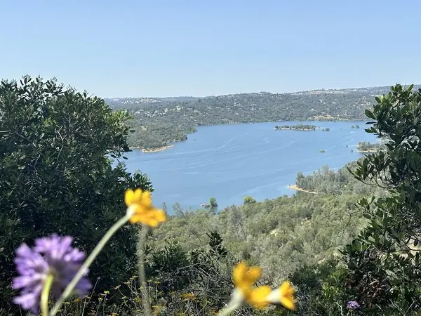 1119 Montauk Vista, Other - See Remarks, CA 95664