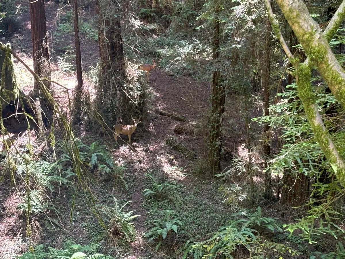 584 Hazel Dell Road, Watsonville, CA 95076 - Image #1