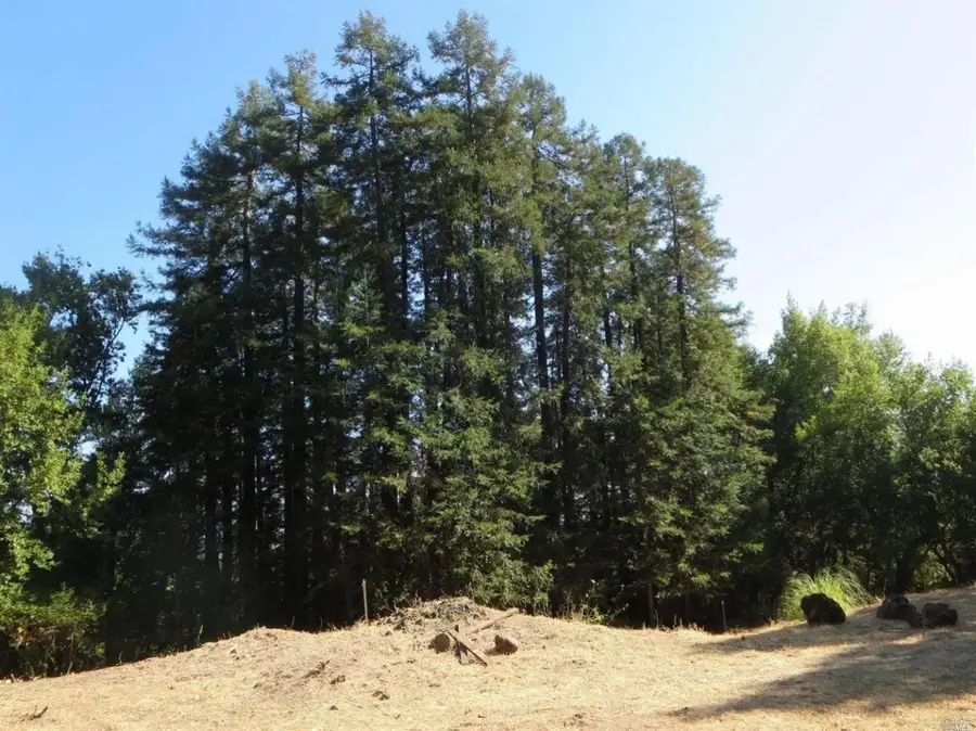 29 Red Rock Way, San Rafael, CA 94903 - #3