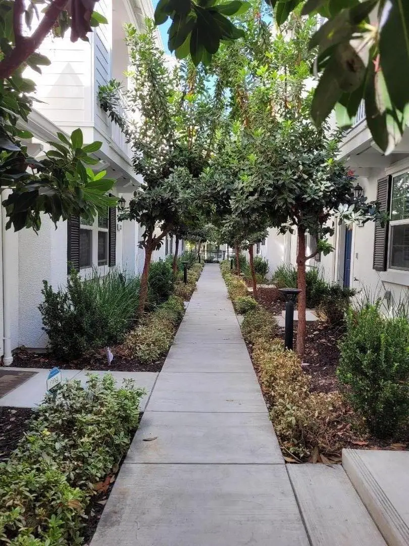 315 Wild Rose Way, Milpitas, CA 95035 - Image #2
