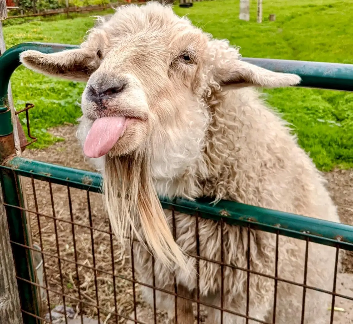 000 San Lucas, Moss Beach, CA 94038 - Image #1