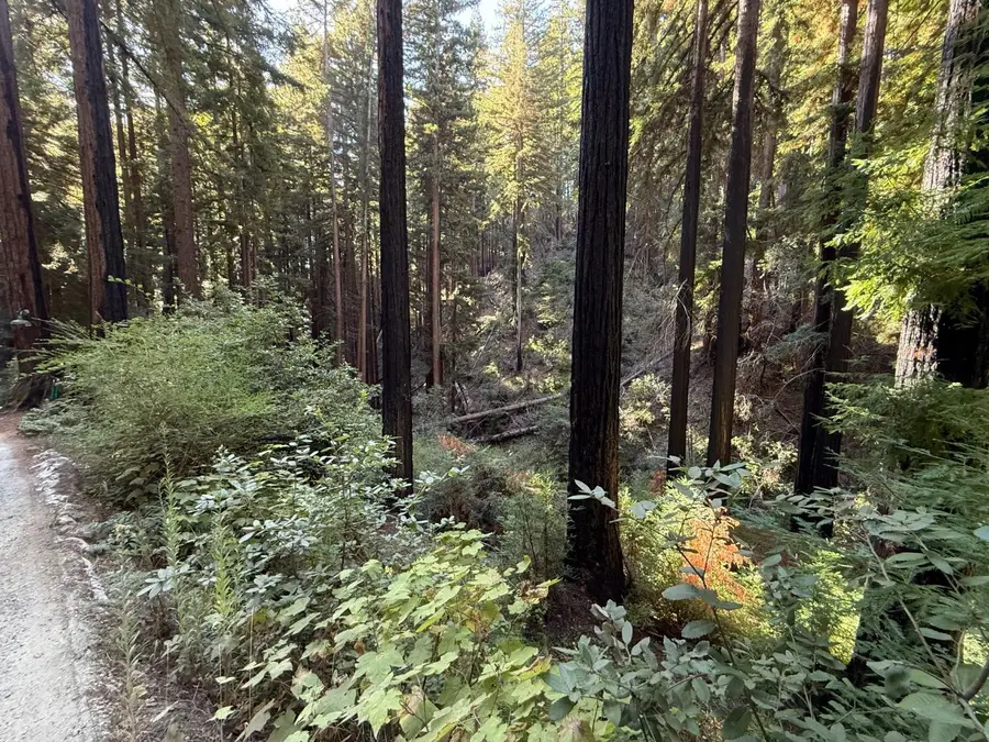 449 Band Road, Boulder Creek, CA 95006 - #2