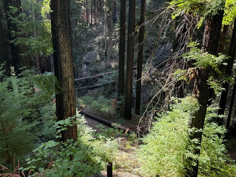 449 Band Road, Boulder Creek, CA 95006 - #3