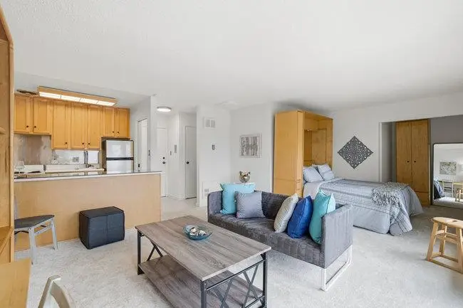 814 N Delaware Street #508, San Mateo, CA 94401 - Image #2