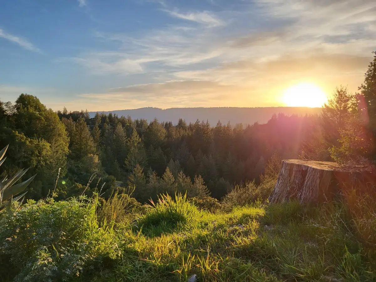 18060 Moonrise Road, Boulder Creek, CA 95006 - Image #1