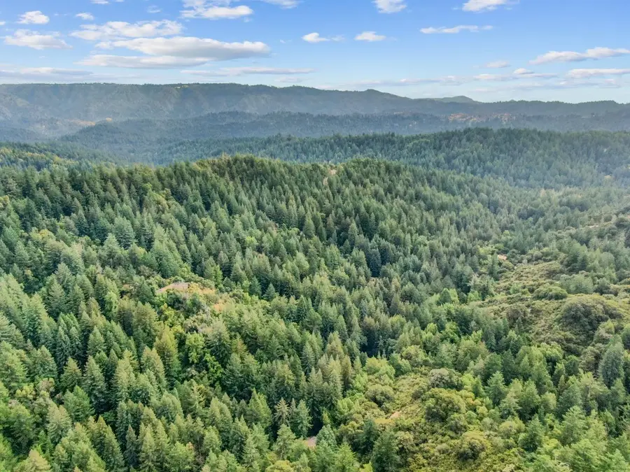 975 Logan Creek Road, Boulder Creek, CA 95006 - #3