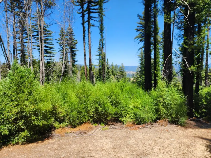 20604 Little Basin Road, Boulder Creek, CA 95006 - Image #3